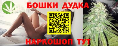 крисы Апшеронск