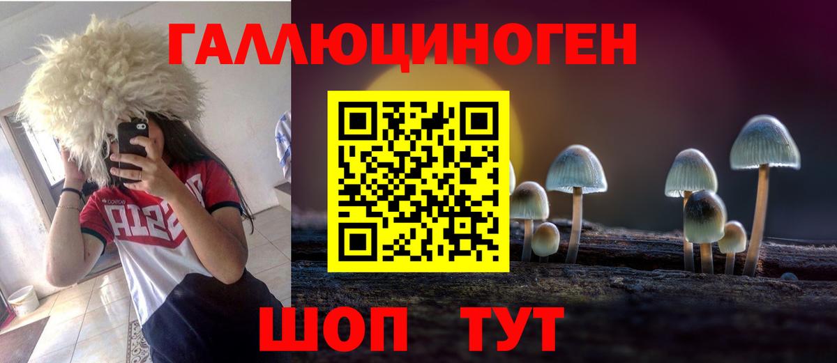 Шадринск  Галлюциногенные грибы MAGIC MUSHROOMS  Галлюциногенные грибы MAGIC MUSHROOMS  Вход с VPN 