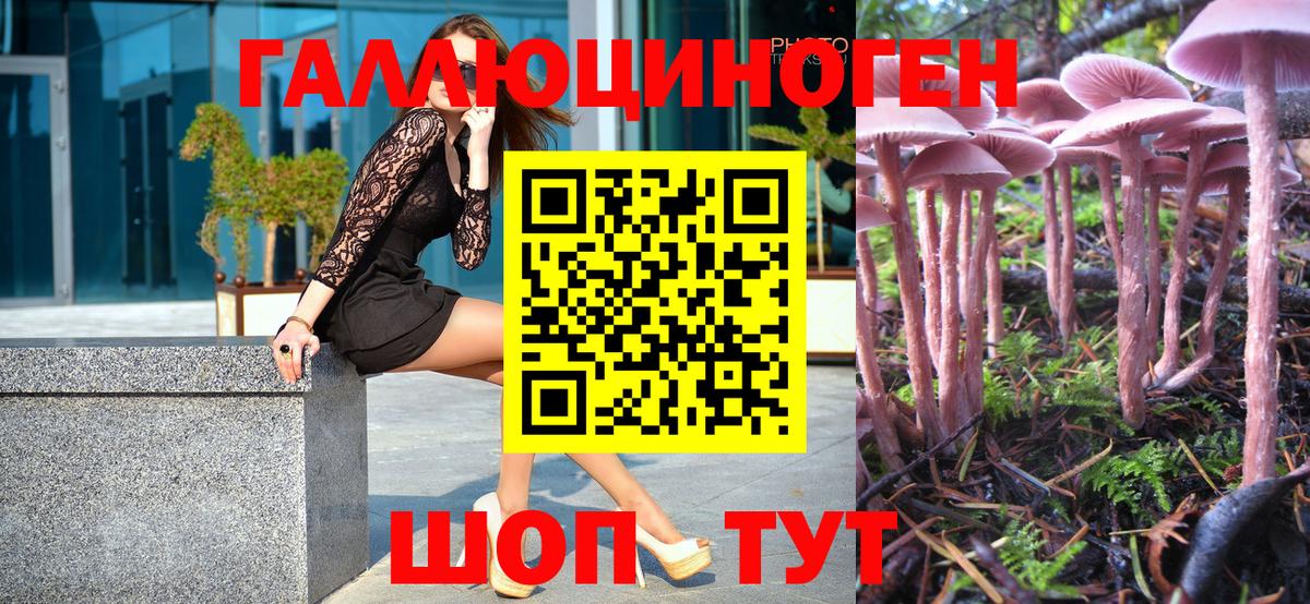 Псилоцибиновые грибы Psilocybine cubensis Шадринск
